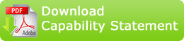 Download PPD's capability statement